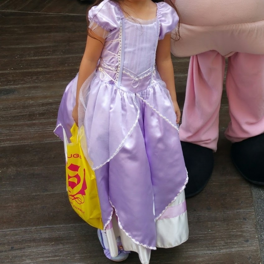 Disney Sophia the 1ST Princess Costume SIZE 6